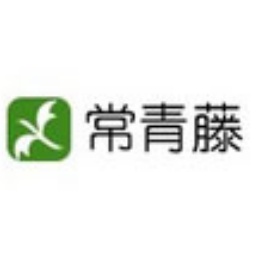 探秘韩国Seori:从韩国文化的瑰宝到全球时尚先锋