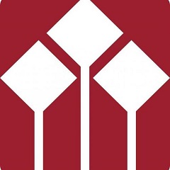 提升你的网站在国内专业SEO排名的全面指南