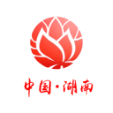 SEO属于什么专业类别：深入探讨搜索引擎优化的跨界性与多维价值