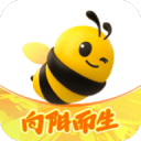 站长SEO综合查询：提升网站排名的全面指南