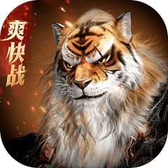 网站的SEO该怎么做：全面指南
