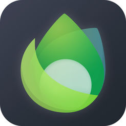 中卫SEO优化排名：提升您的网站竞争力的秘诀
