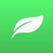 探索最佳“查询seo排名工具”的前沿：提升网站流量与竞争力