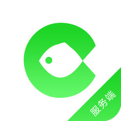 提升网站排名，掌握SEO综合查询工具的使用技巧