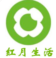 福州SEO矩阵排名：提升你的网站在搜索引擎中的表现