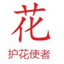 专业SEO哪些公司好:助力企业在互联网时代取得成功