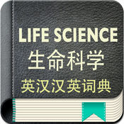提升合肥SEO推广排名，让您的企业在互联网时代蜕变