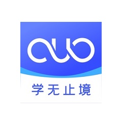 SEO是什么：揭开网站流量增长的神秘面纱