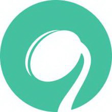 泉州SEO排名代理：助力您的网站蜕变为互联网巨头