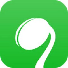 快速排名SEO外包：助你网站迅速攀登搜索引擎榜首