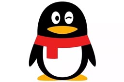 世界杯赛事直播v.14.12.98光盘版最新版