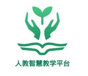 湛江SEO排名规则：提升你的网站在搜索引擎中的表现