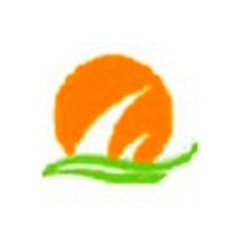 掌握SEO搜索推广，让您的网站焕发新生！